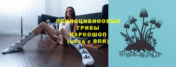 гашик Белокуриха