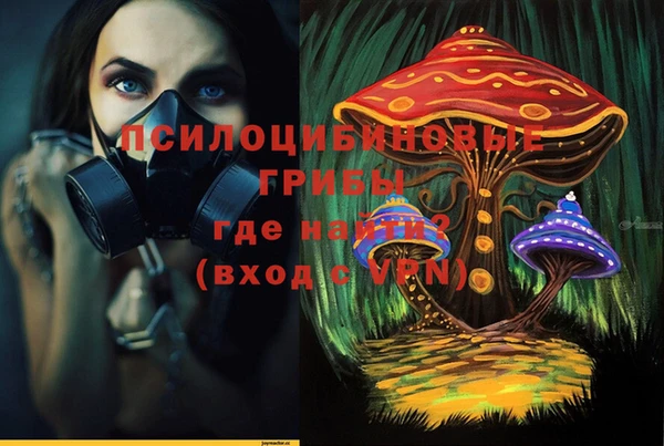 гашик Нея