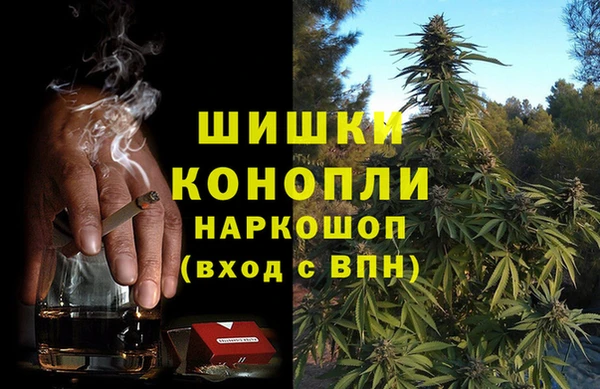 прущие грибы Нефтегорск