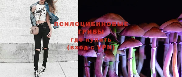 гашик Белокуриха