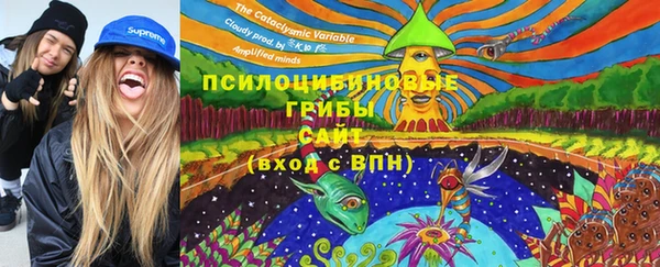 гашик Белокуриха