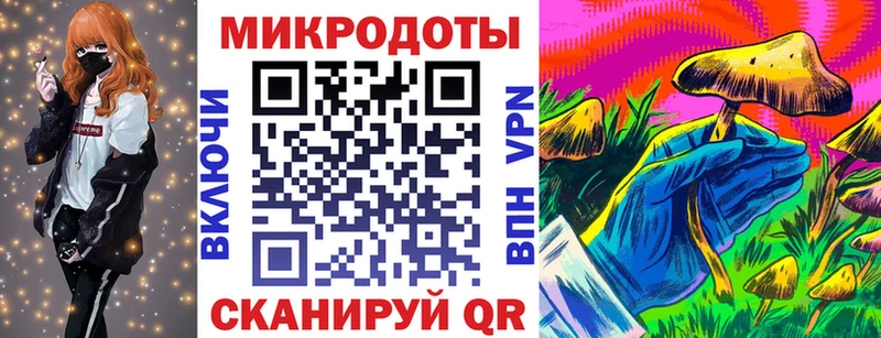 Псилоцибиновые грибы Cubensis  Елизаветинская 