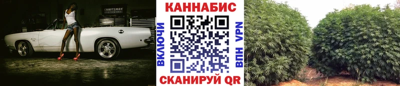МАРИХУАНА план  Елизаветинская 